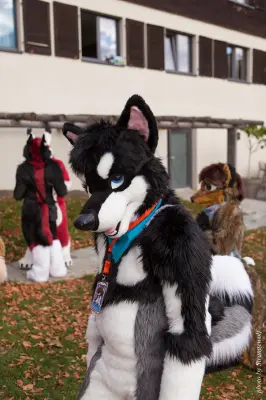 IMG_7925-lr19t.jpg of GLC/GLC2017/