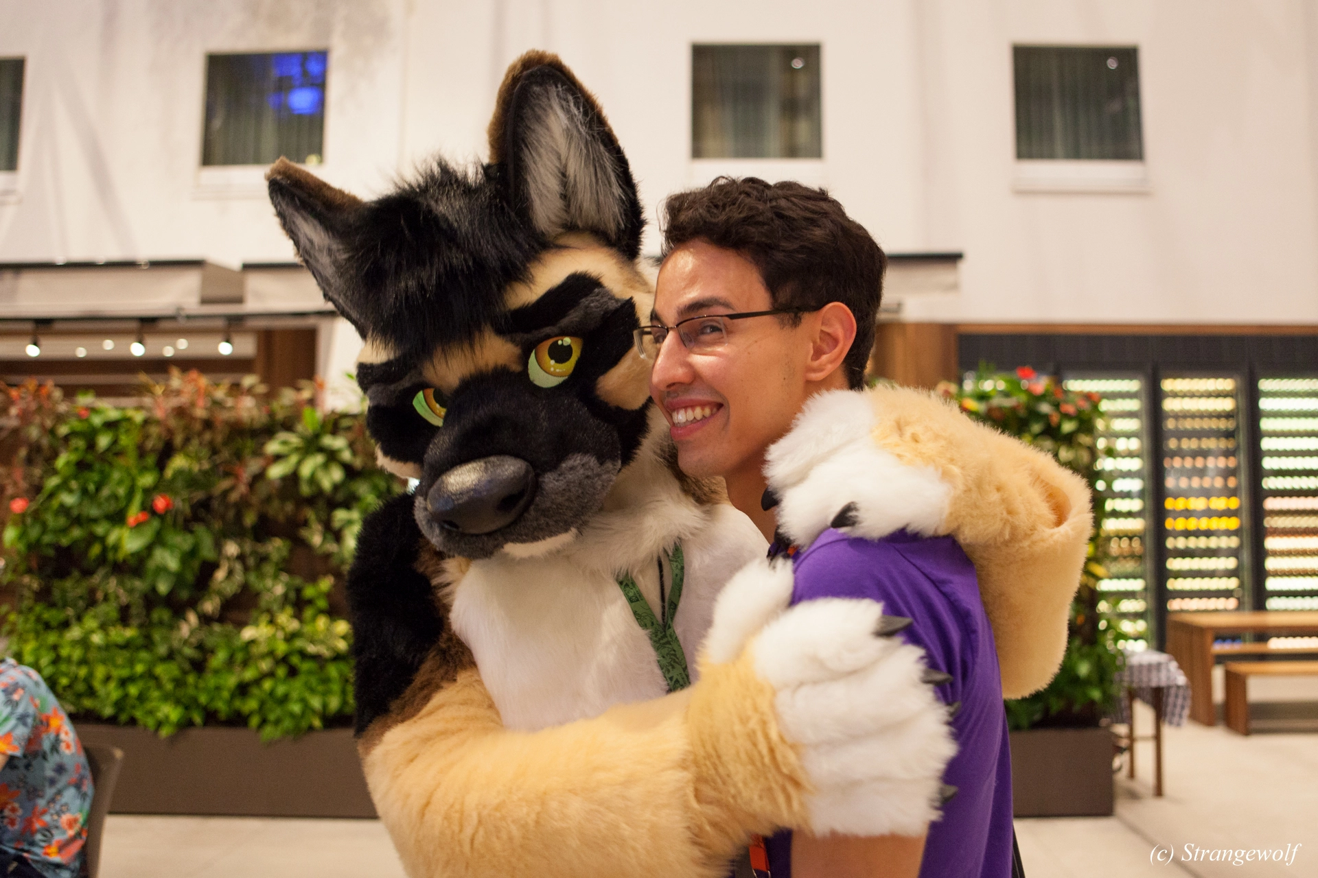 full image IMG_4813-lr19t.jpg