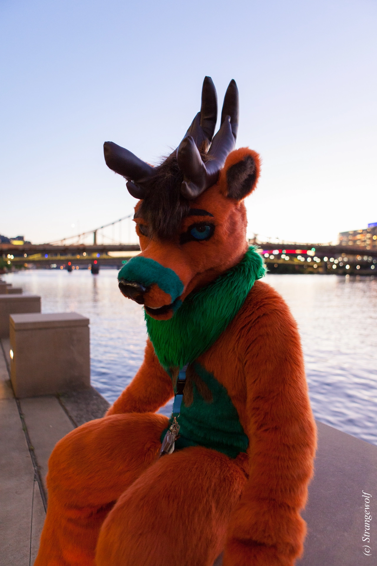 full image IMG_4509-lr19t.jpg