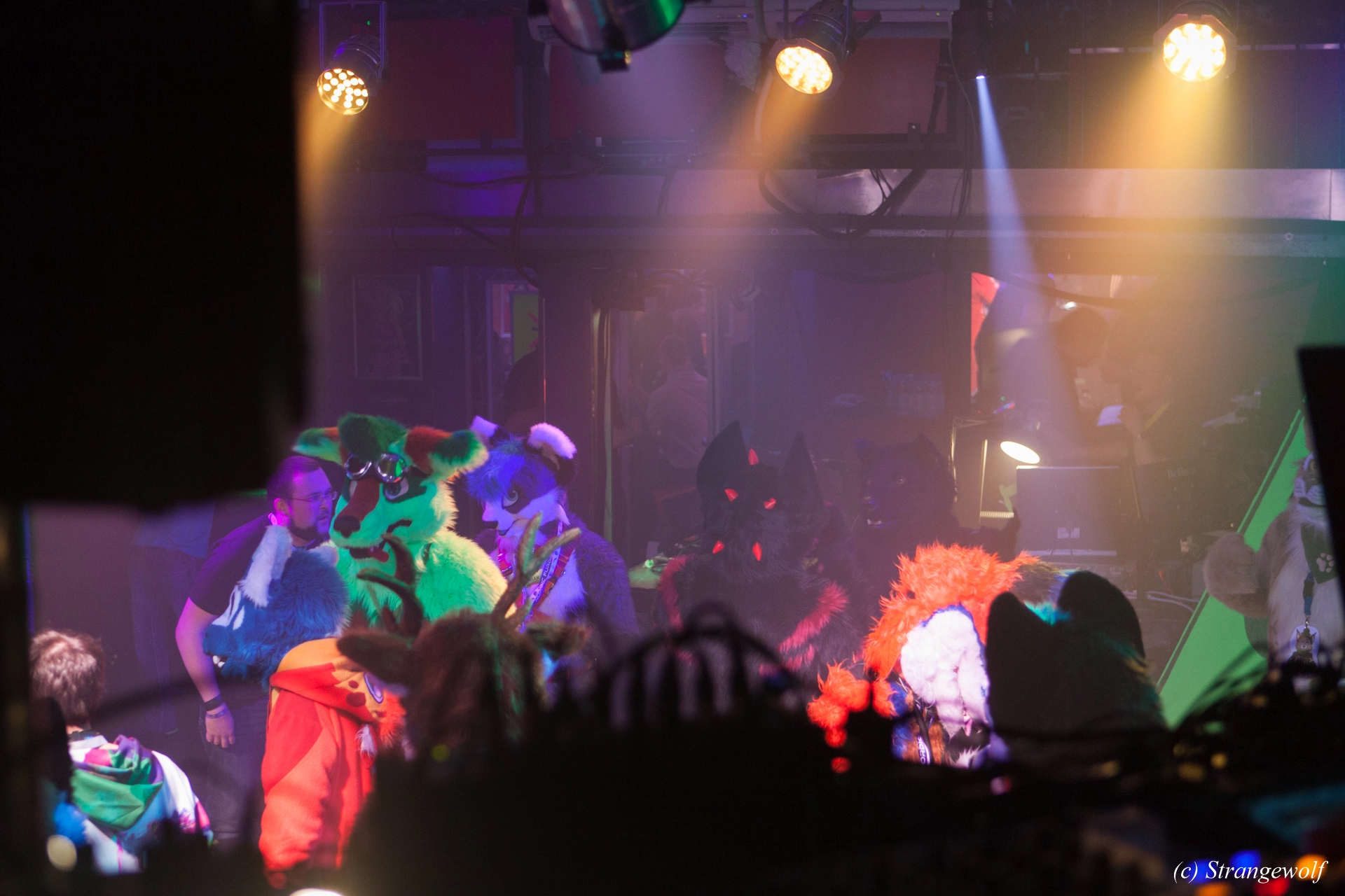 full image IMG_0777-lr19t.jpg