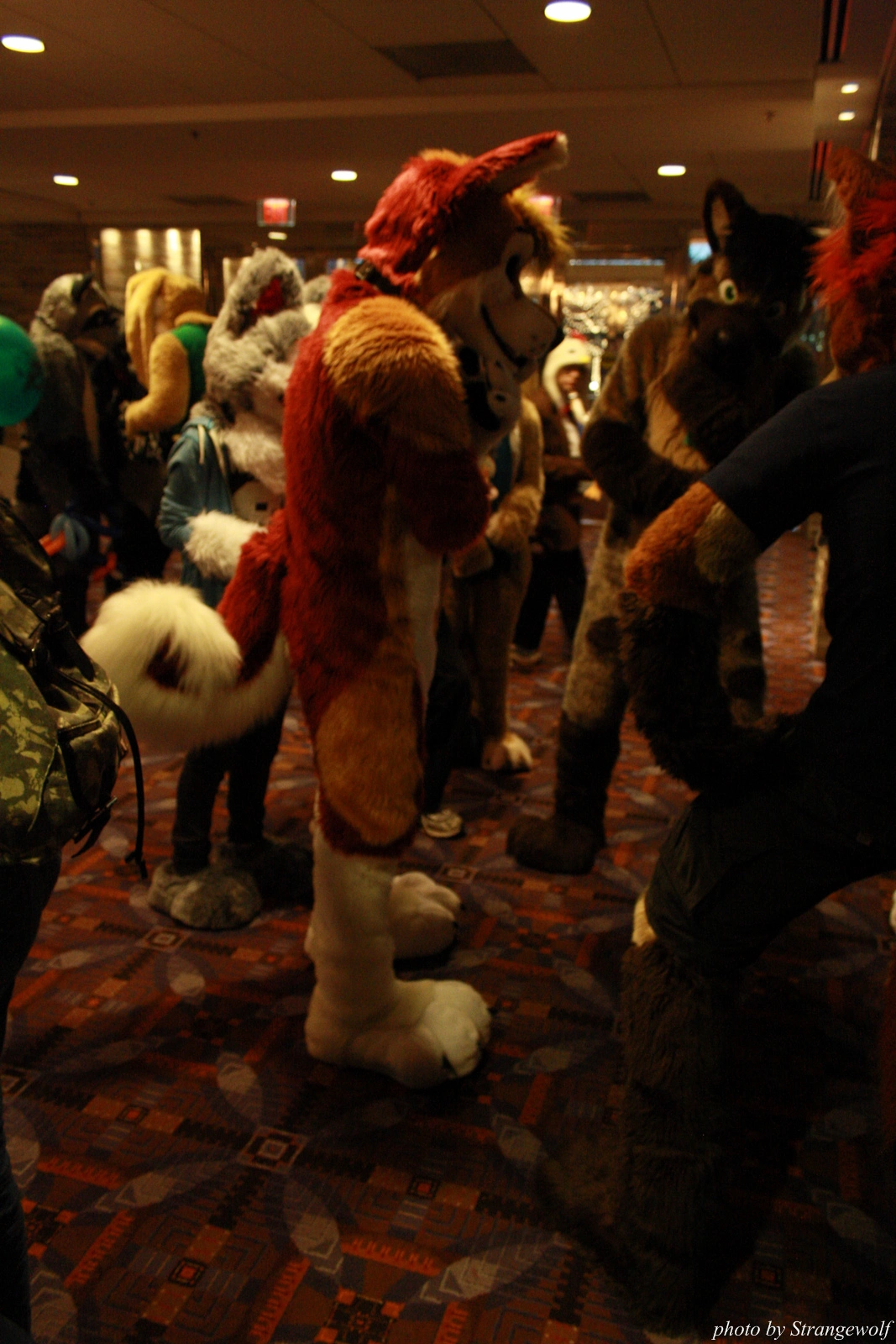 full image IMG_1142-lr.jpg