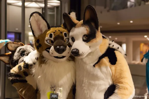 IMG_1641-lr19t.jpg of FWA/FWA2018/