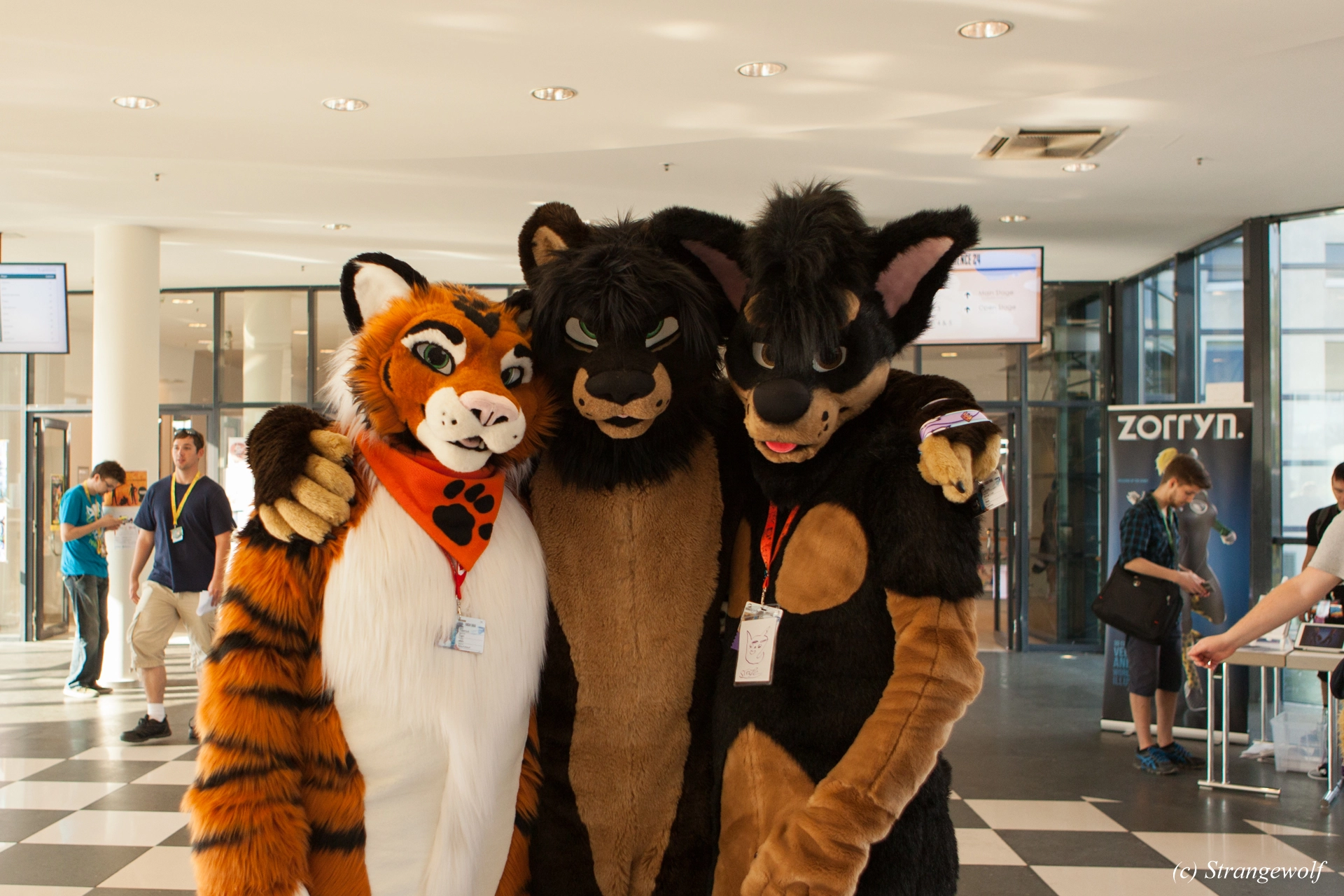 full image IMG_4978-lr19t.jpg