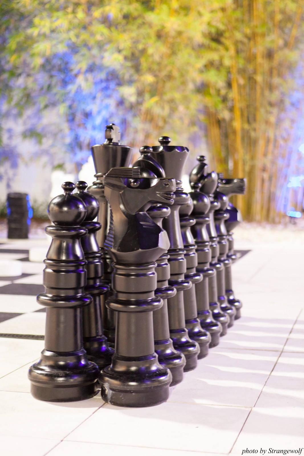 full image IMG_8026-lr16t.jpg