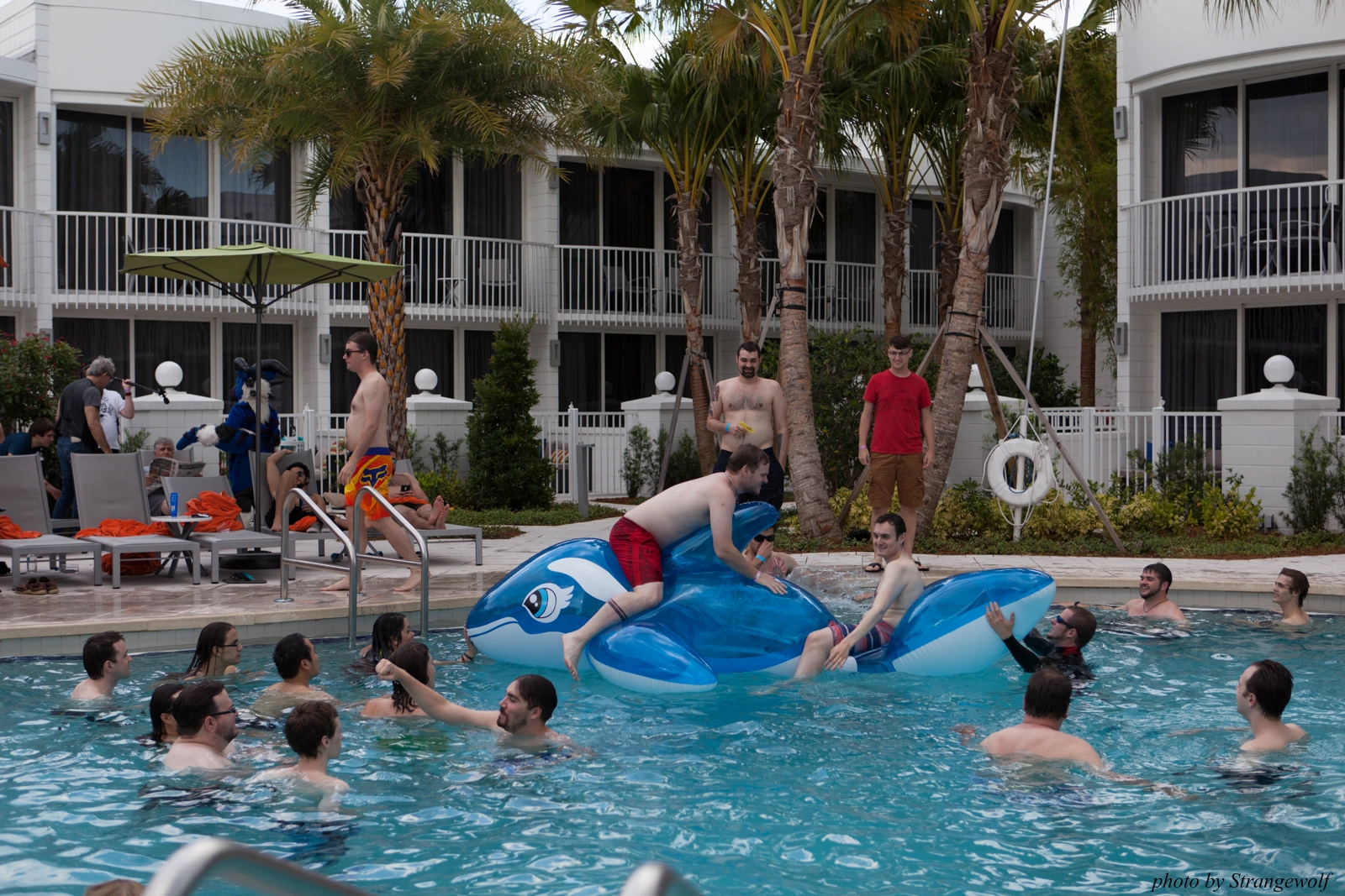 full image IMG_8328-lr16t.jpg