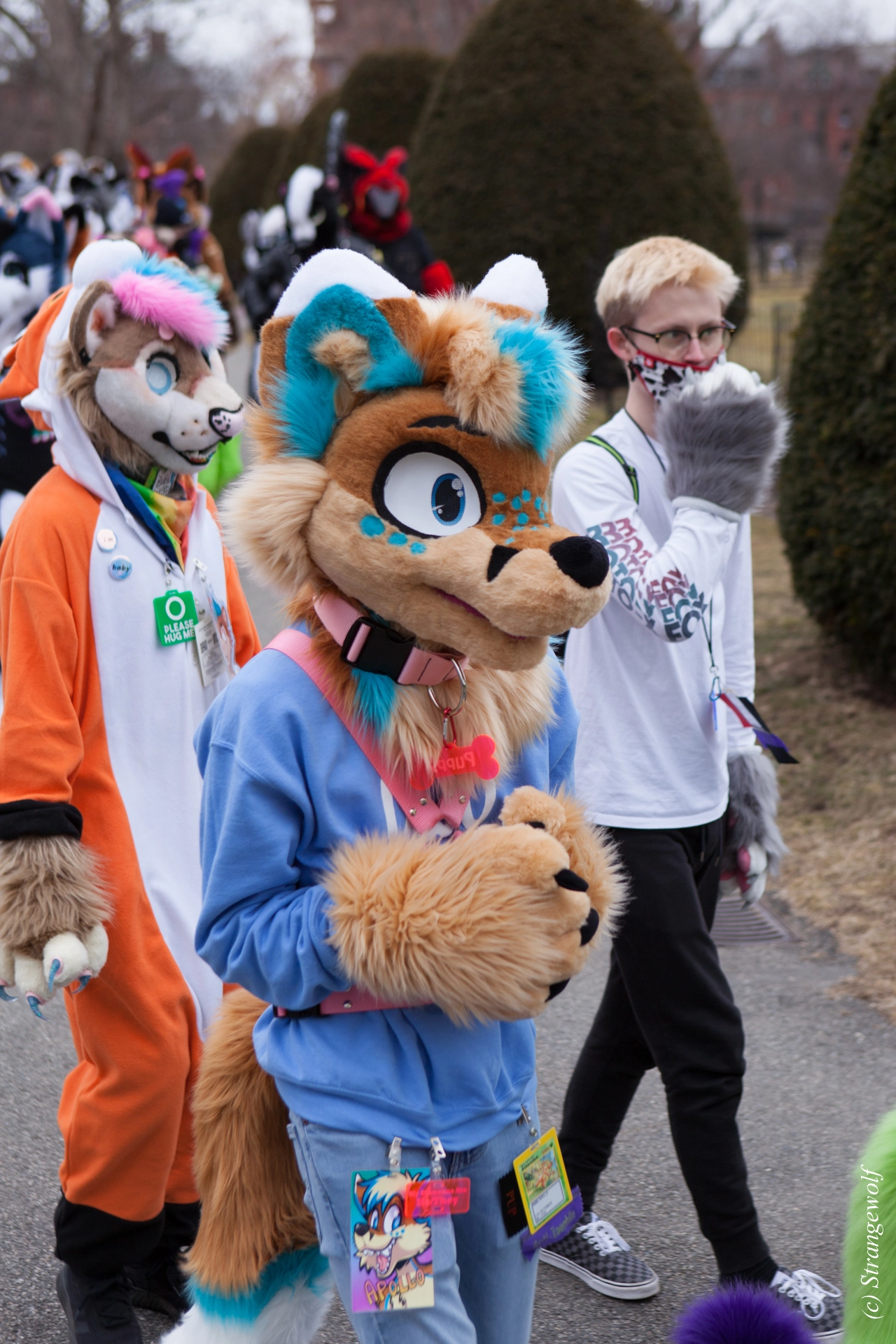full image IMG_3231-lr19t.jpg