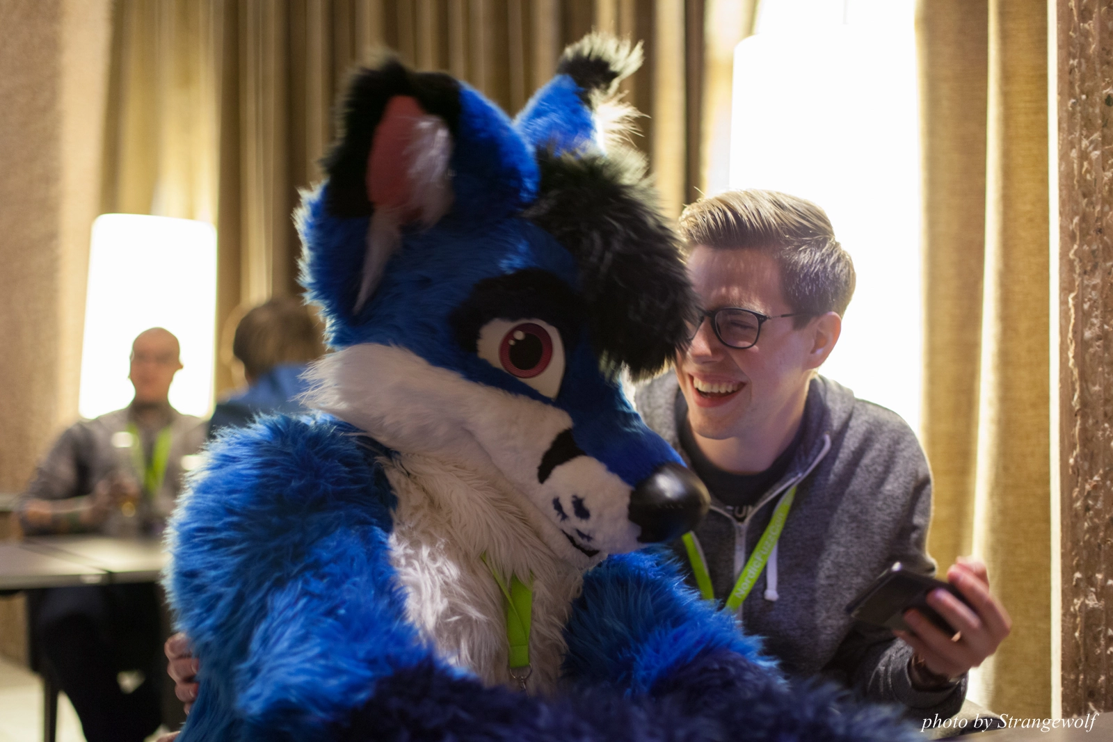 full image IMG_1553-lr16t.jpg