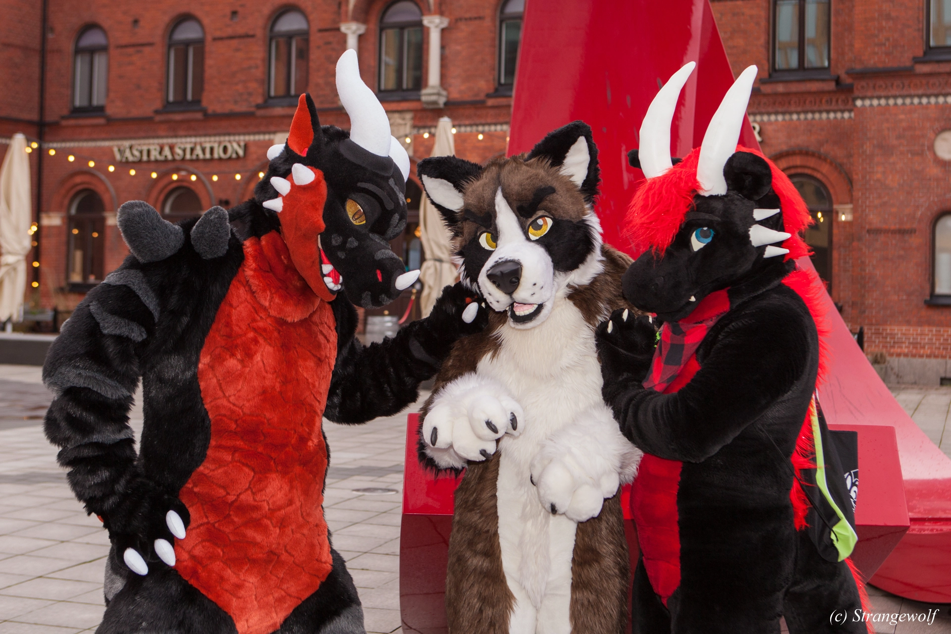 full image IMG_8975-lr19t.jpg