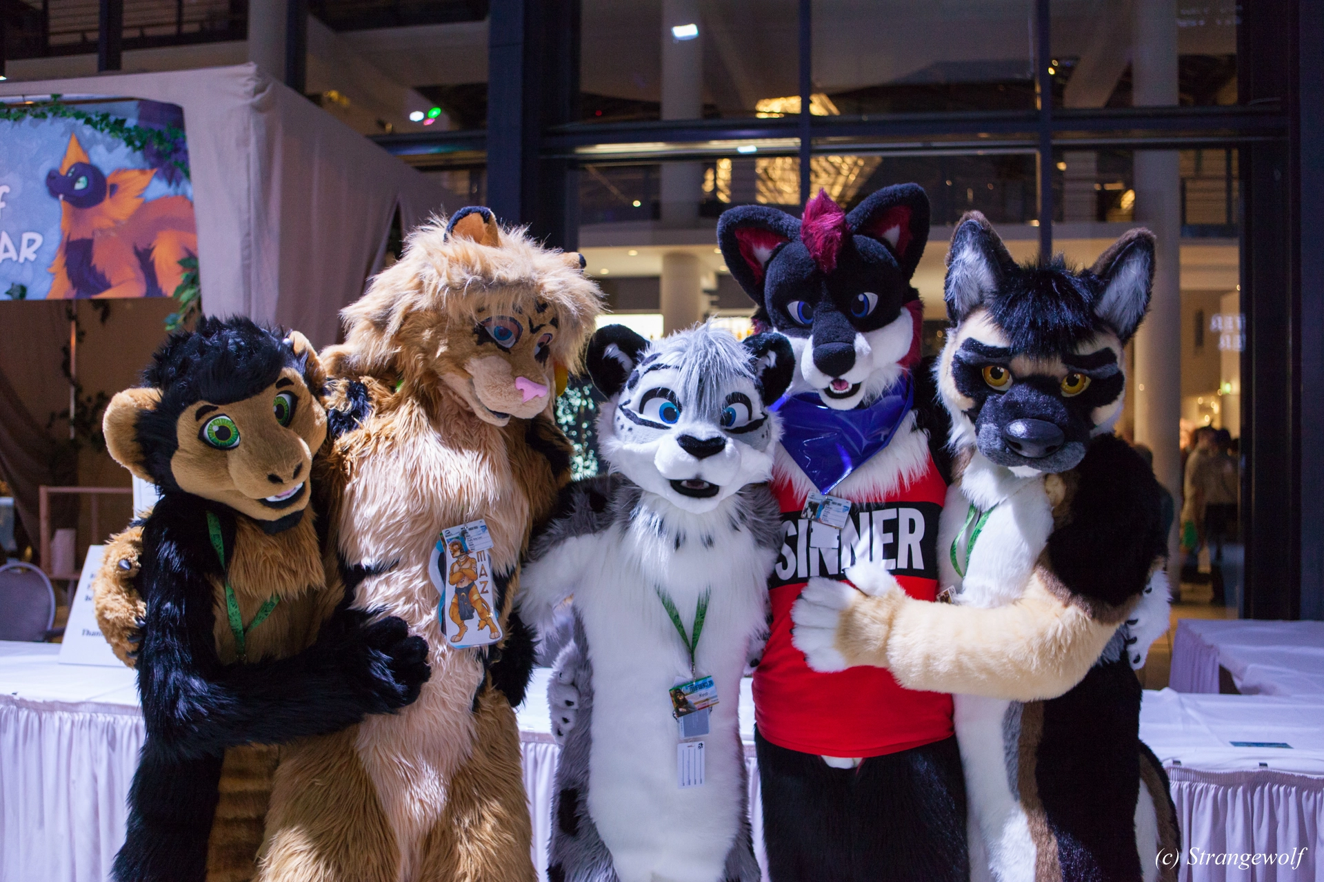 full image IMG_4889-lr19t.jpg