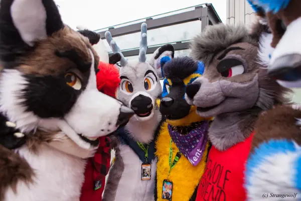 IMG_9012-lr19t.jpg of NFC/NFC2020/