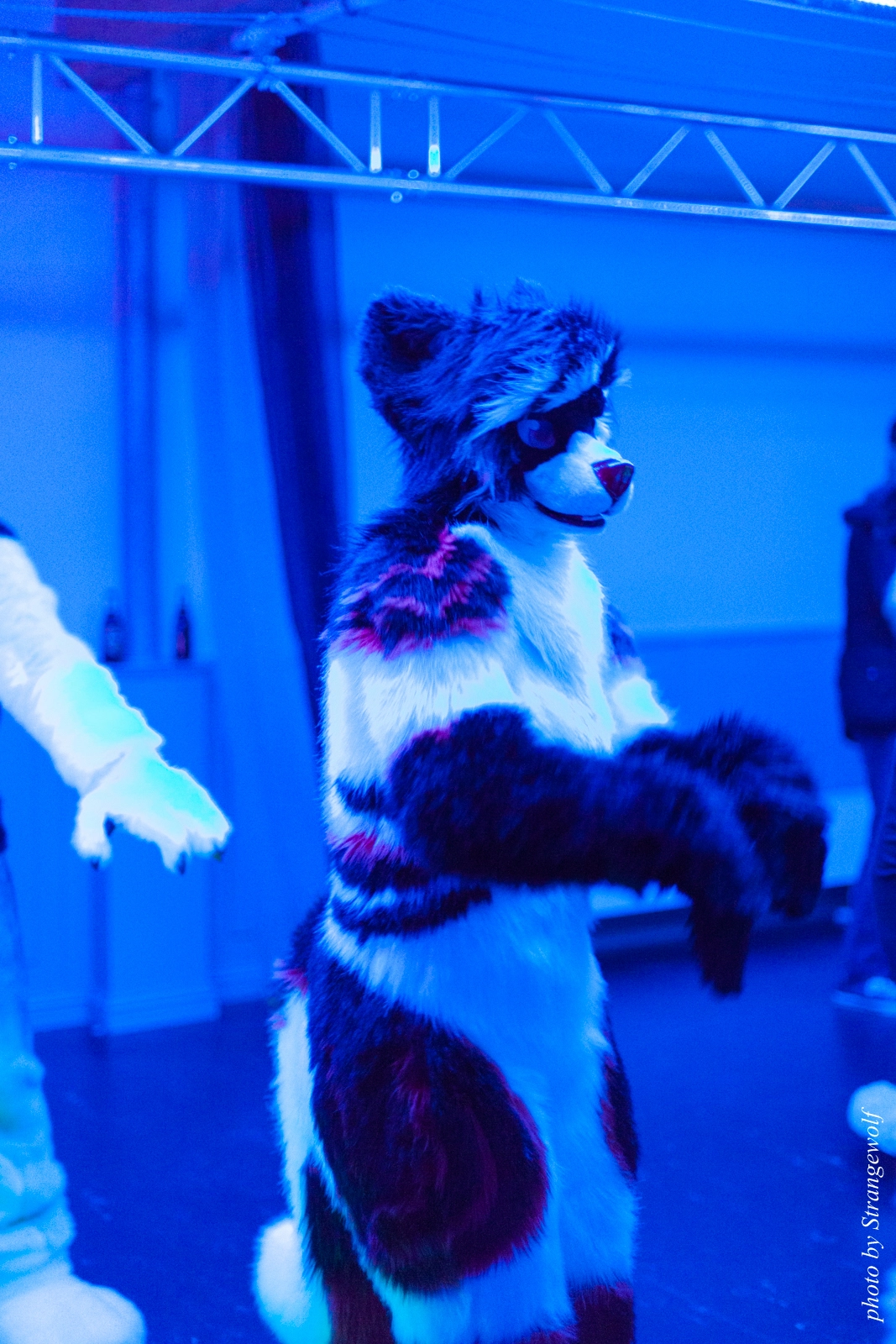 full image IMG_5428-lr16t.jpg