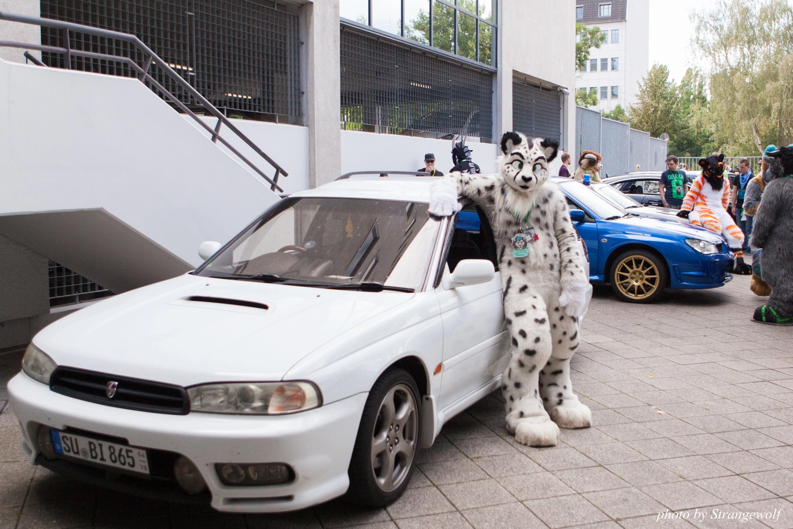full image IMG_0079-lr16t.jpg