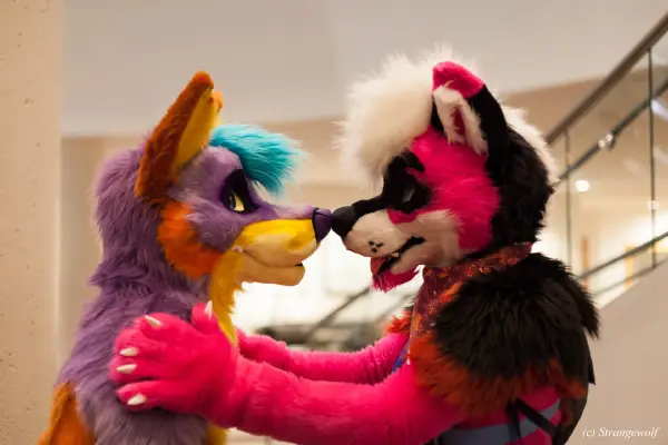 IMG_1829-lr19t.jpg of FWA/FWA2018/