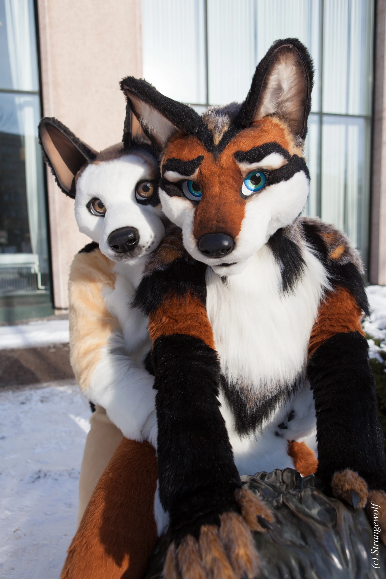 full image IMG_0080-lr19t.jpg