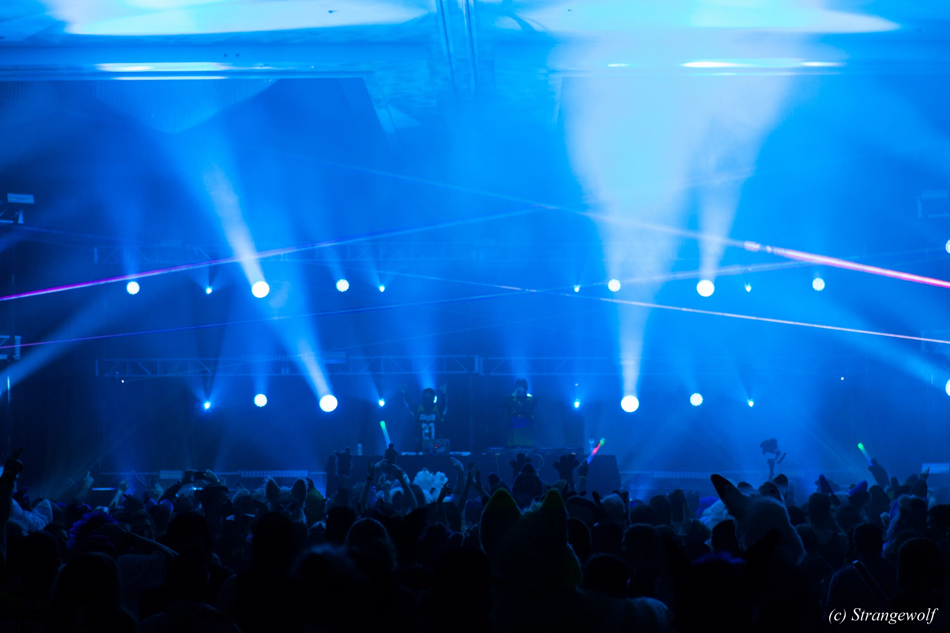 full image IMG_1732-lr19t.jpg