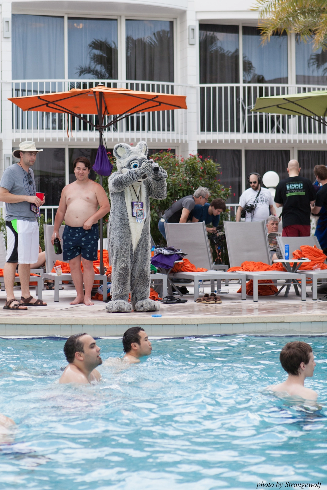 full image IMG_8315-lr16t.jpg