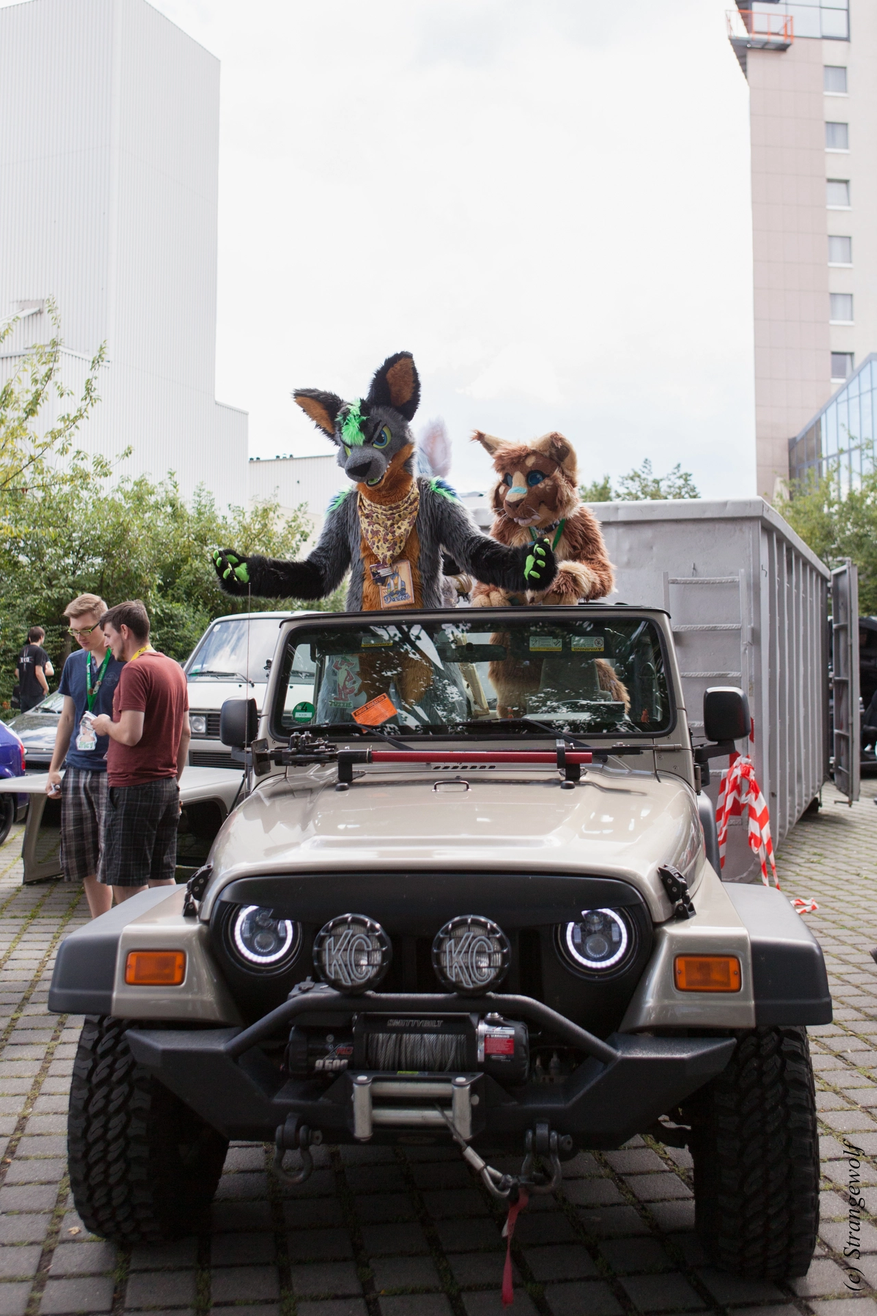 full image IMG_6928-lr19t.jpg