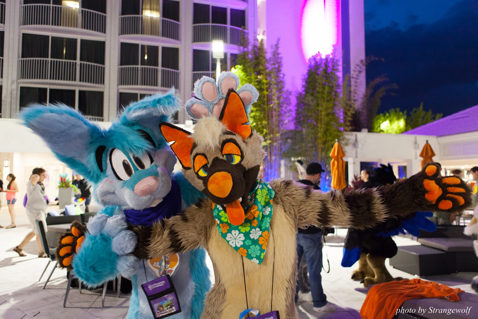 full image IMG_8528-lr16t.jpg