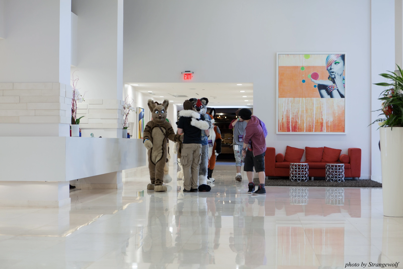 full image IMG_8284-lr16t.jpg