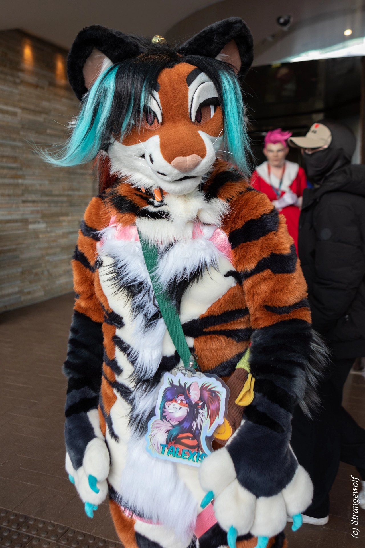 full image 1R3A6103-lr19t.jpg