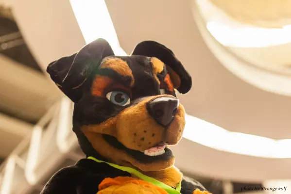 IMG_1960-lr16t.jpg of NFC/NFC2017/