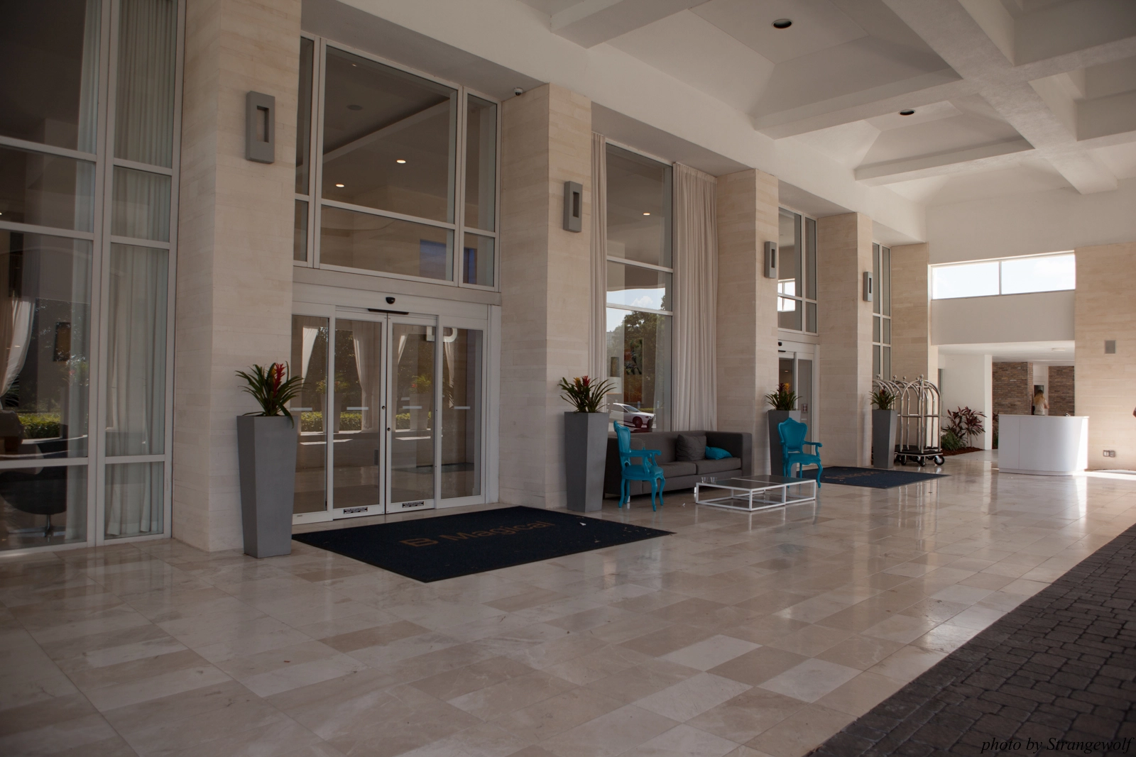 full image IMG_8838-lr16t.jpg