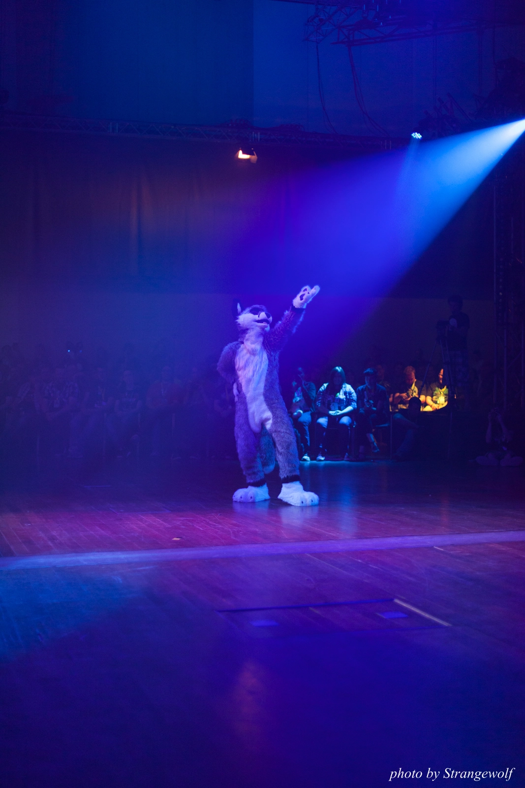 full image IMG_2916-lr16t.jpg