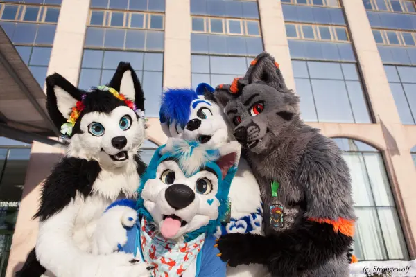 IMG_0042-lr19t.jpg of NFC/NFC2018/