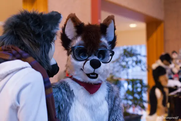 IMG_9582-lr19t.jpg of NFC/NFC2019/