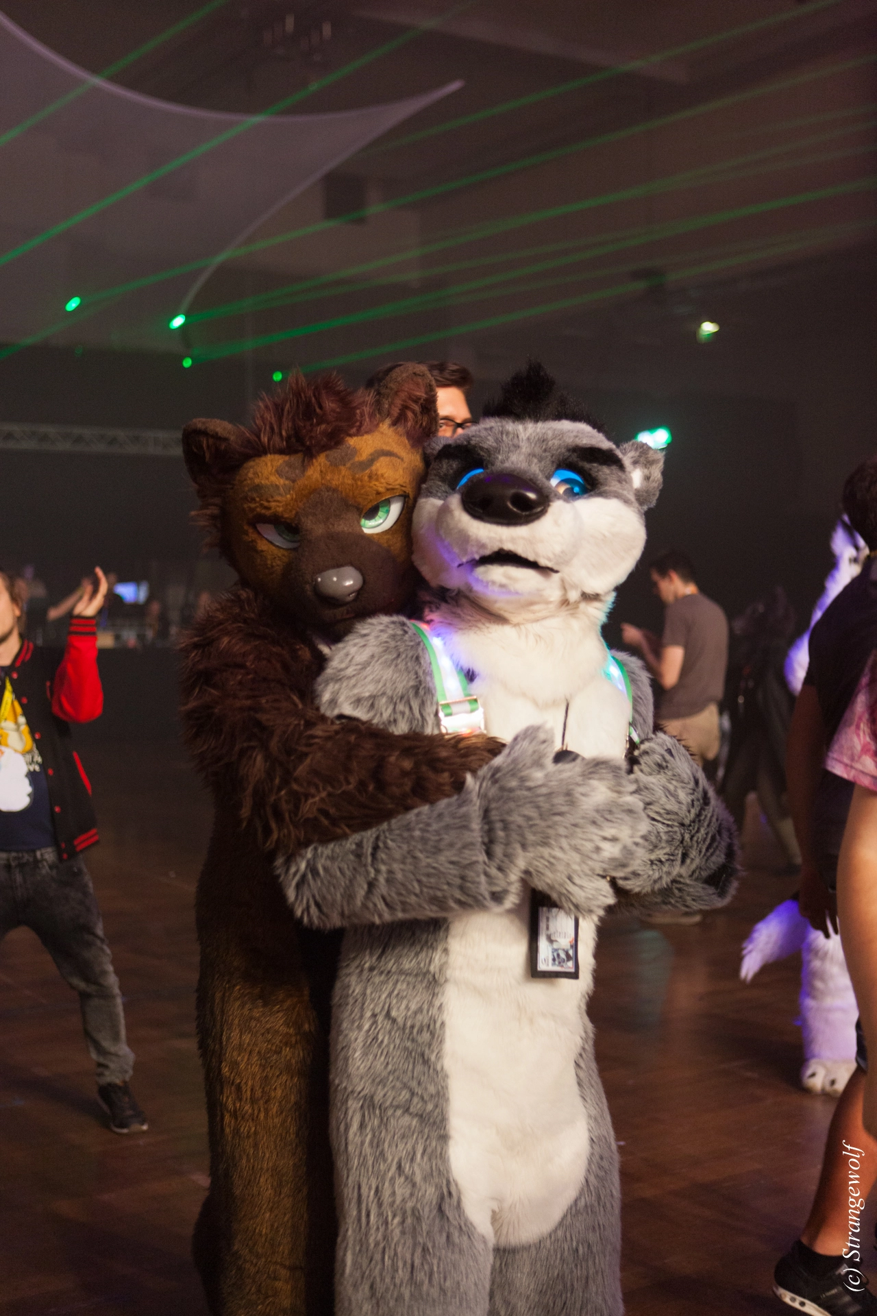 full image IMG_5219-lr19t.jpg