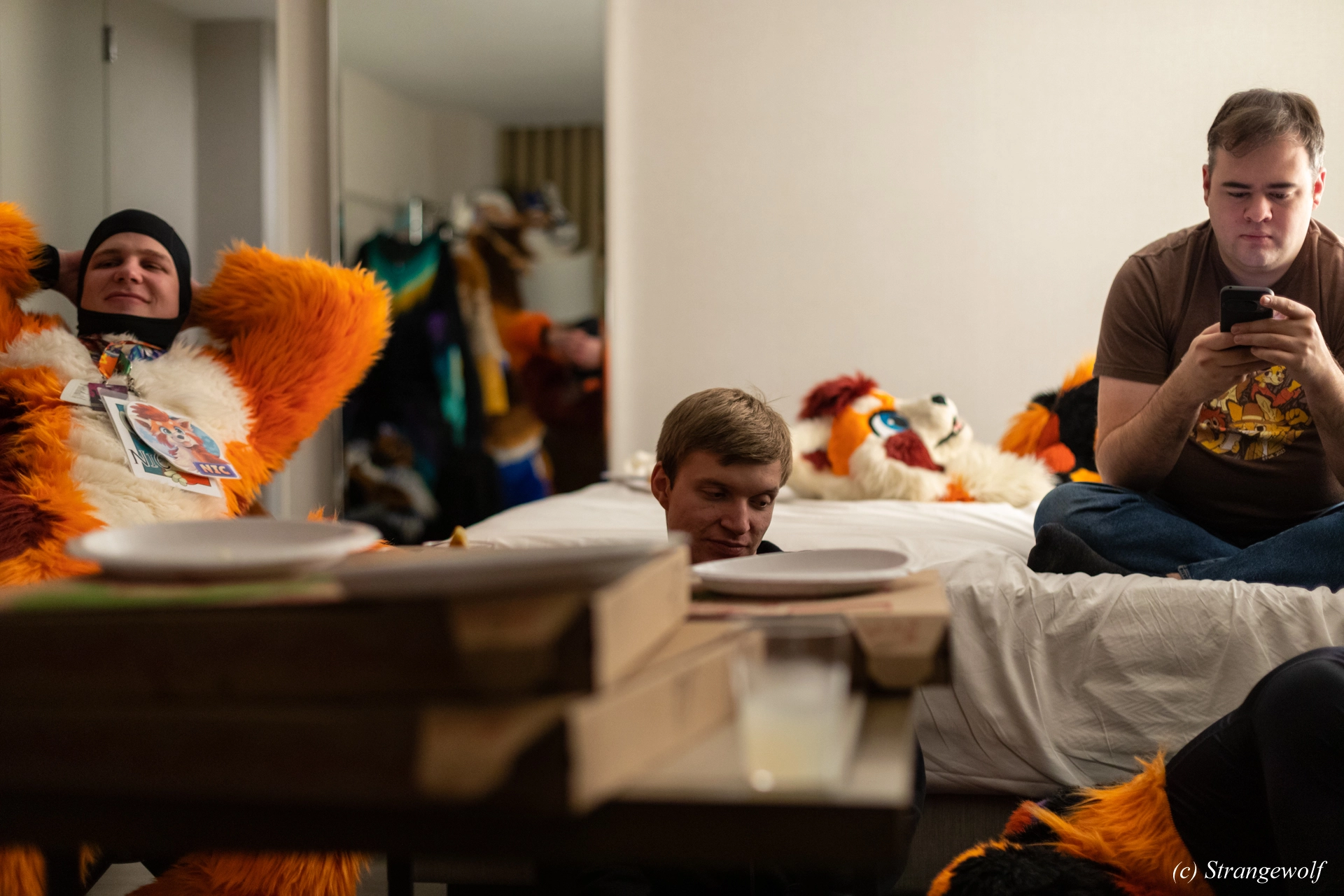 full image 1R3A0171-lr19t.jpg