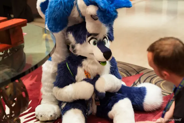 IMG_7144-lr16t.jpg of CFZ/CFZ2016/