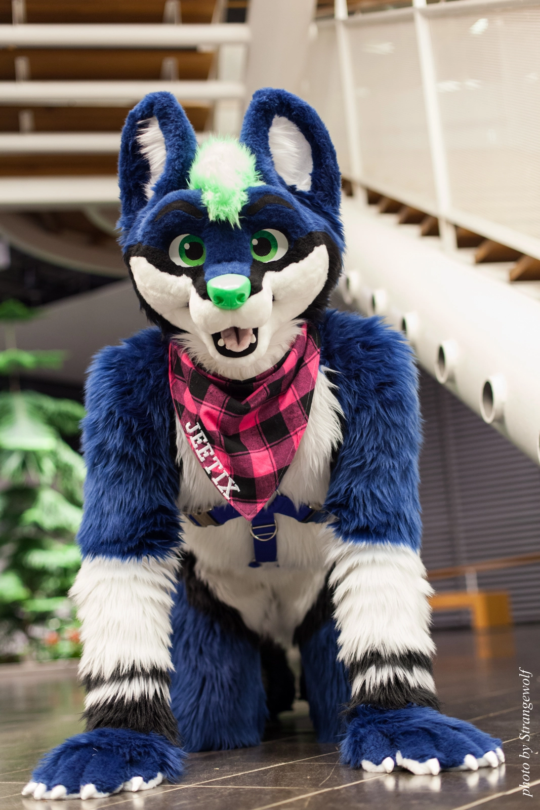 full image IMG_1939-lr16t.jpg