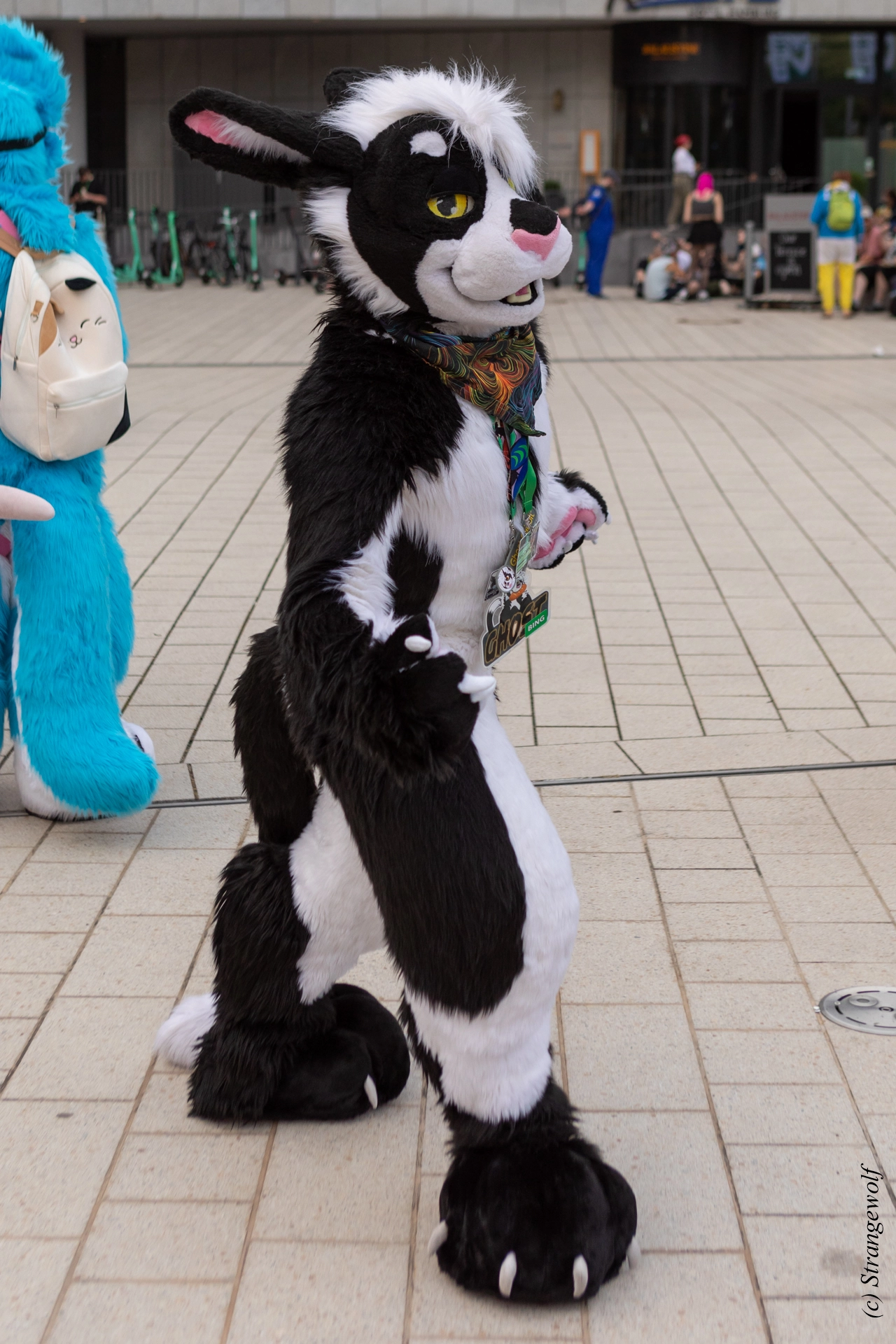 full image 1R3A9183-lr19t.jpg