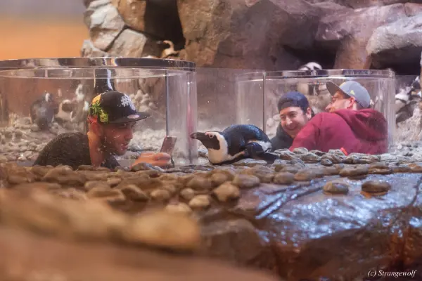 IMG_2198-lr19t.jpg of FWA/FWA2018/