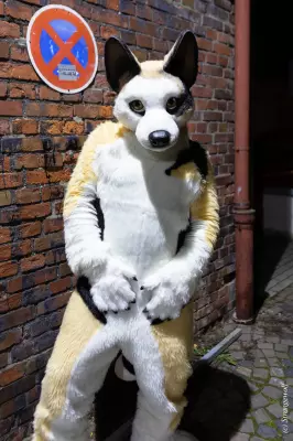 1R3A2642-lr19t.jpg of Furstrike/Furstrike 2022/
