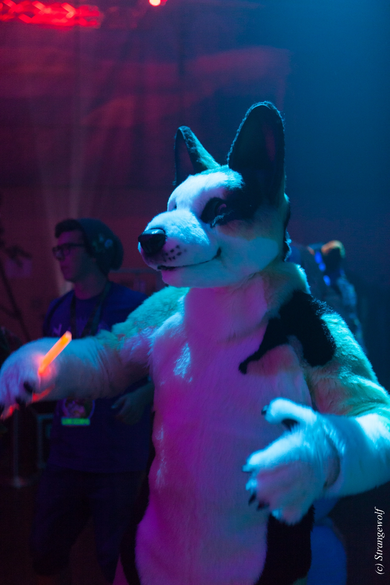 full image IMG_5203-lr19t.jpg