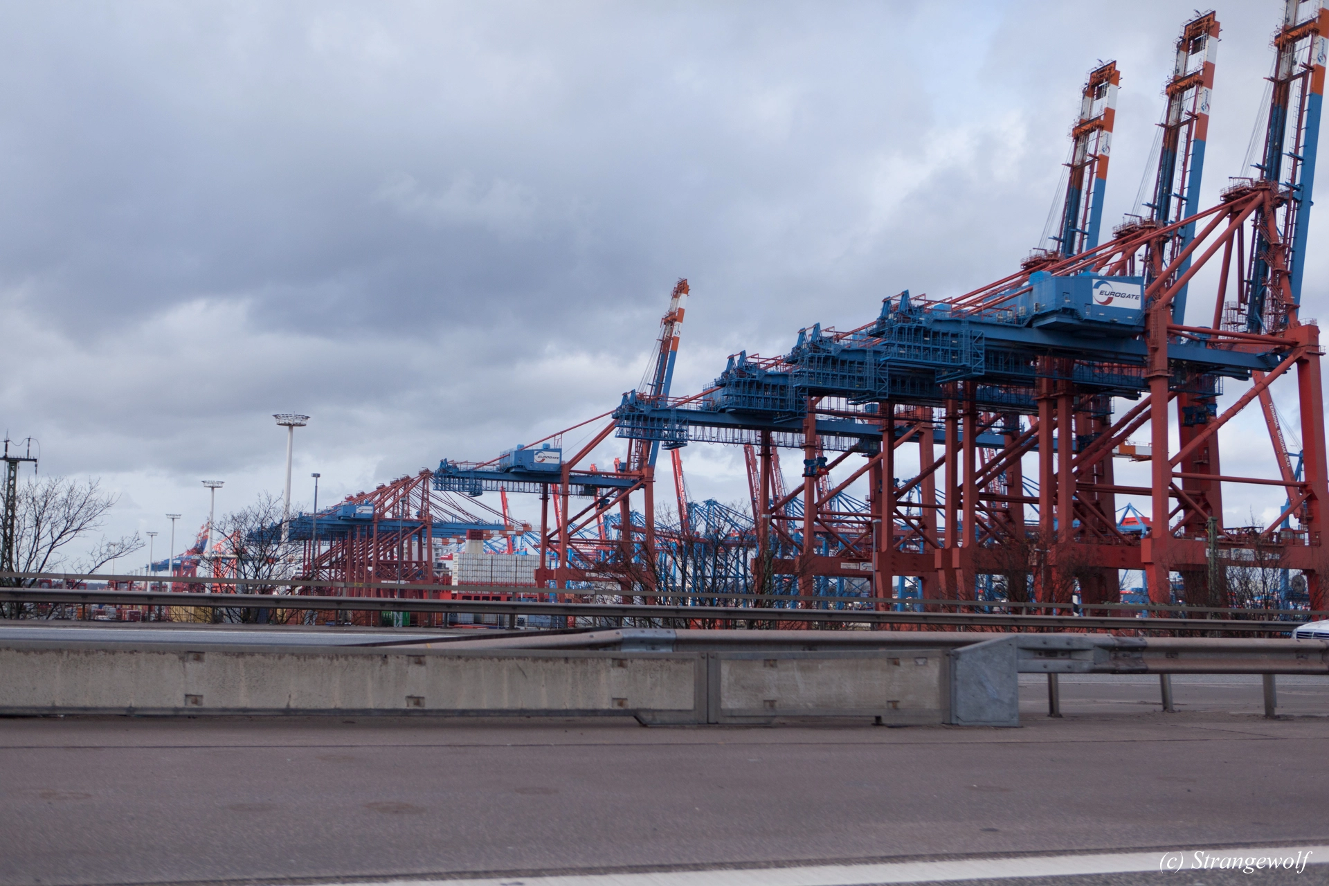 full image IMG_8198-lr19t.jpg