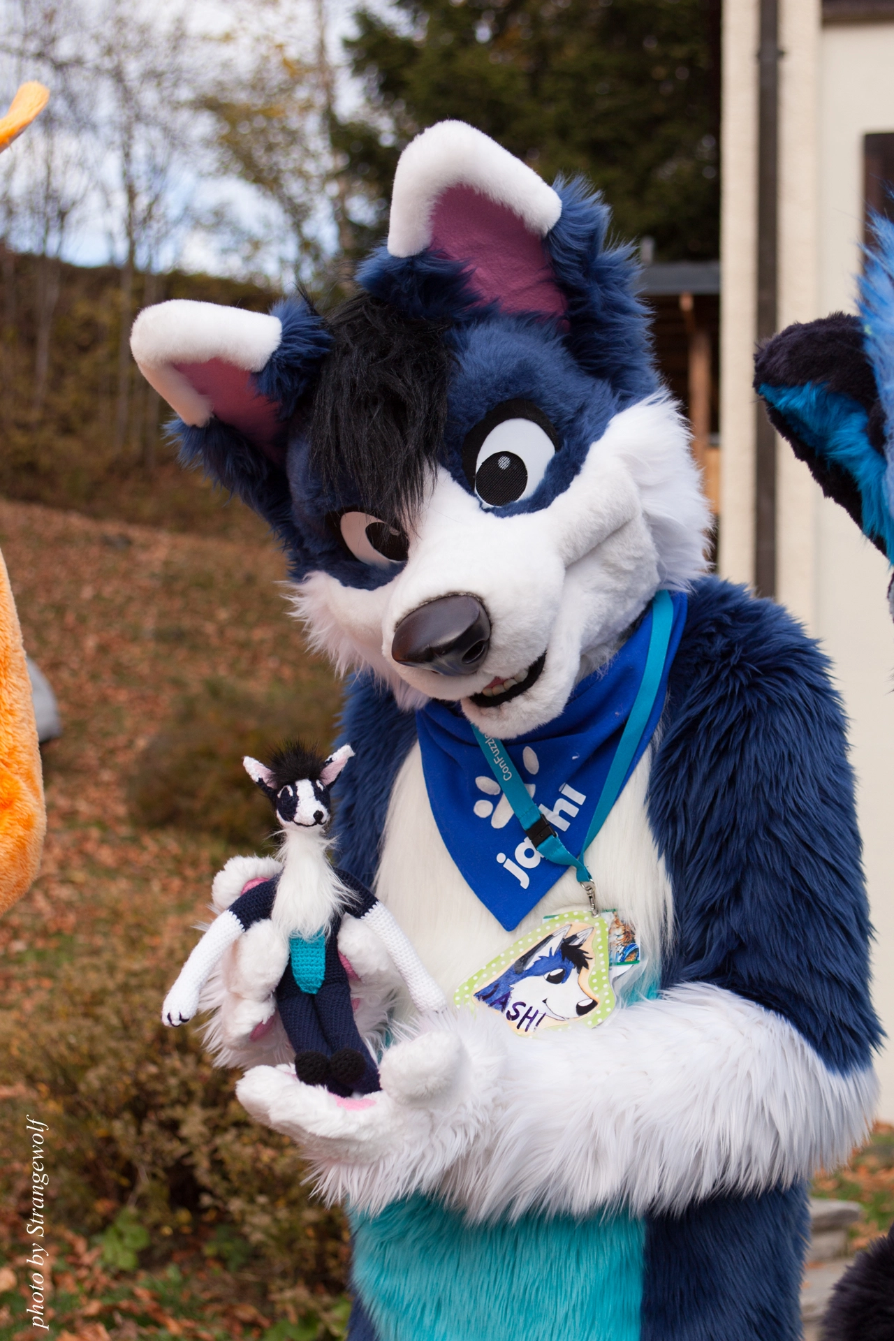 full image IMG_7929-lr19t.jpg