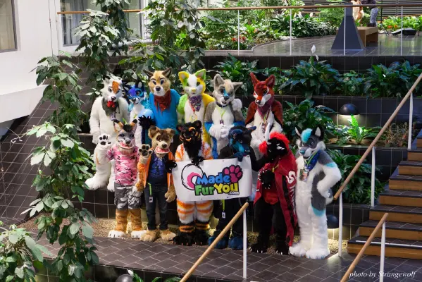 IMG_1706-lr16t.jpg of NFC/NFC2017/