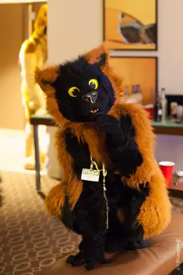 IMG_6615-lr19t.jpg of MFF/MFF2015/