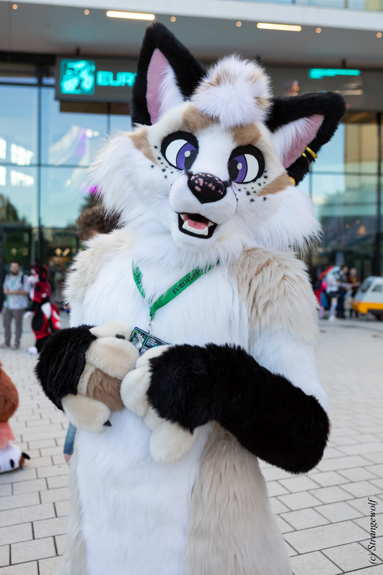 full image 1R3A9350-lr19t.jpg