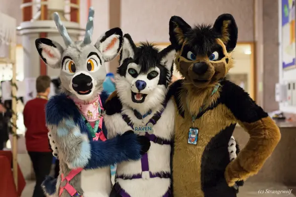 IMG_9356-lr19t.jpg of NFC/NFC2019/