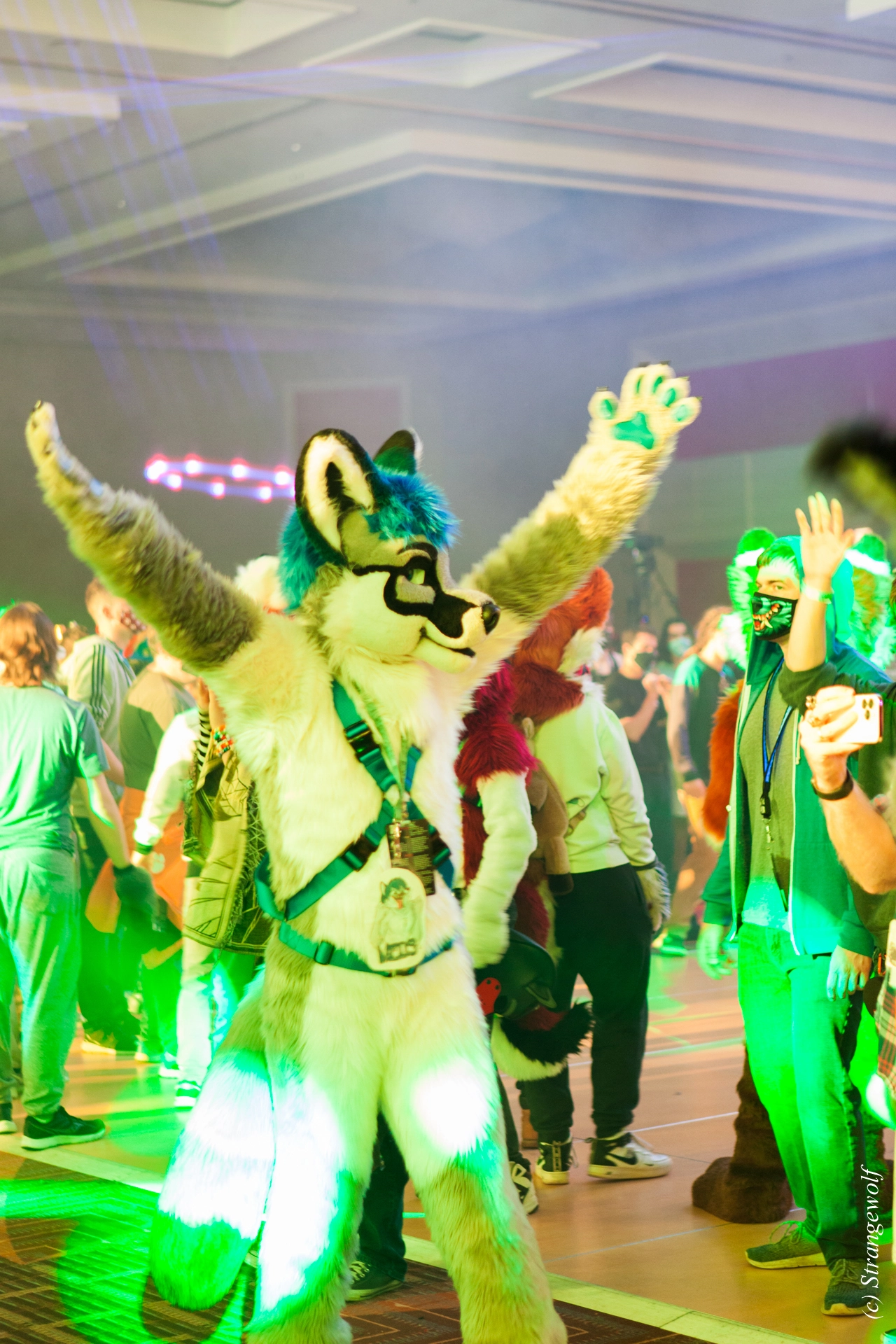 full image IMG_1233-lr19t.jpg