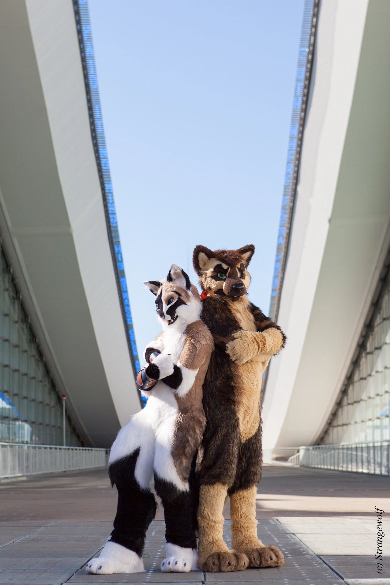 full image IMG_4176-lr19t.jpg