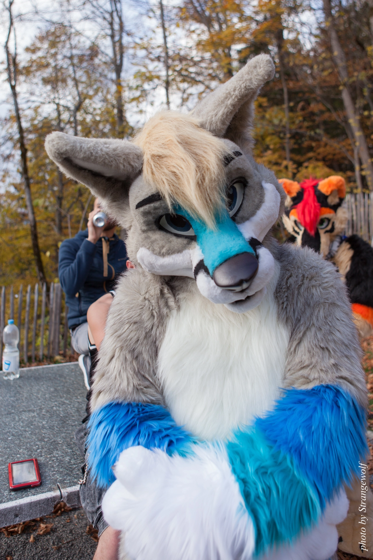 full image IMG_7874-lr19t.jpg