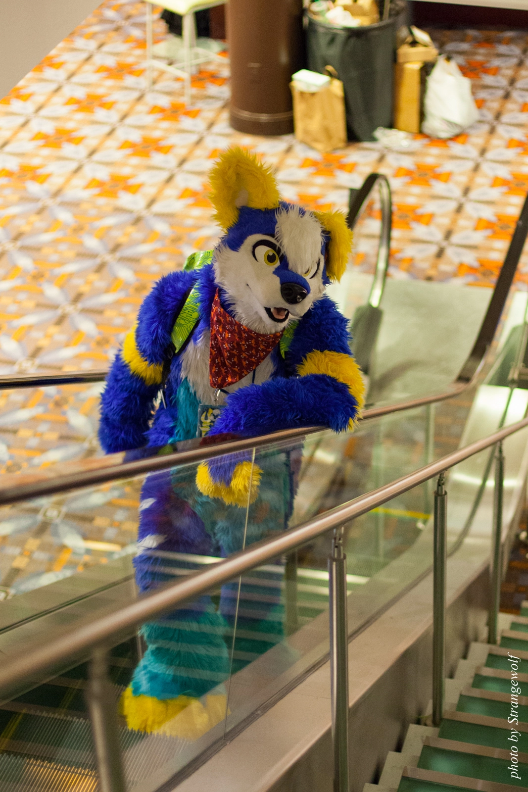 full image IMG_0911-lr16t.jpg