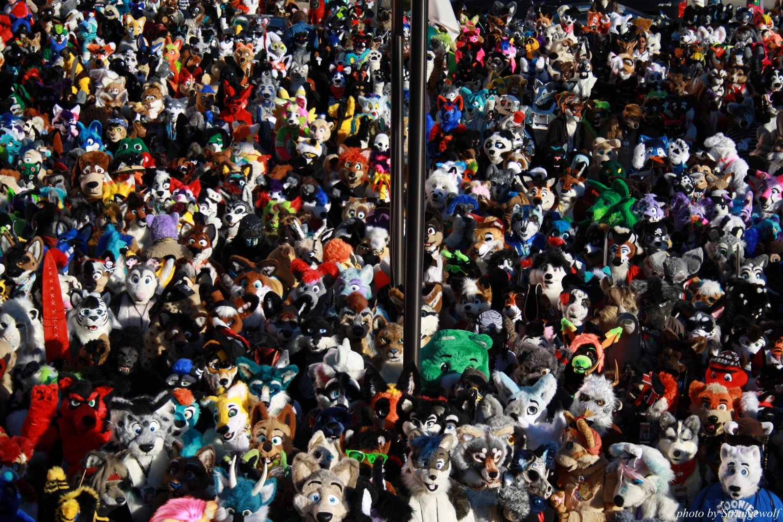 full image IMG_0639-lr.jpg