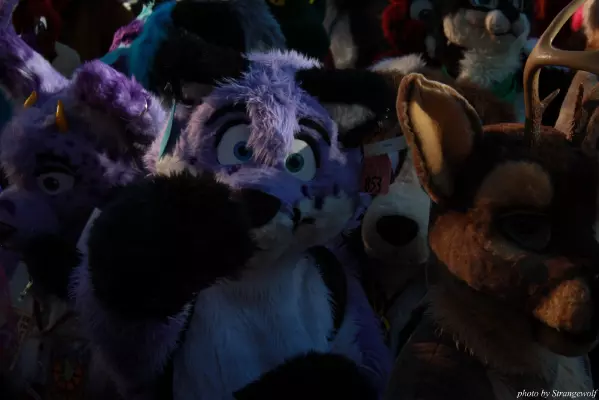 IMG_0708-lr.jpg of MFF/MFF2013/