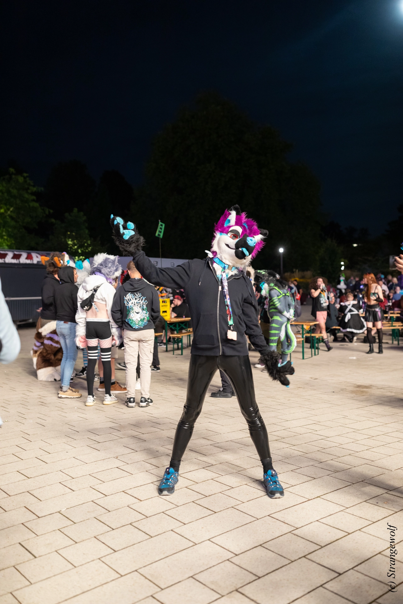 full image 1R3A9434-lr19t.jpg